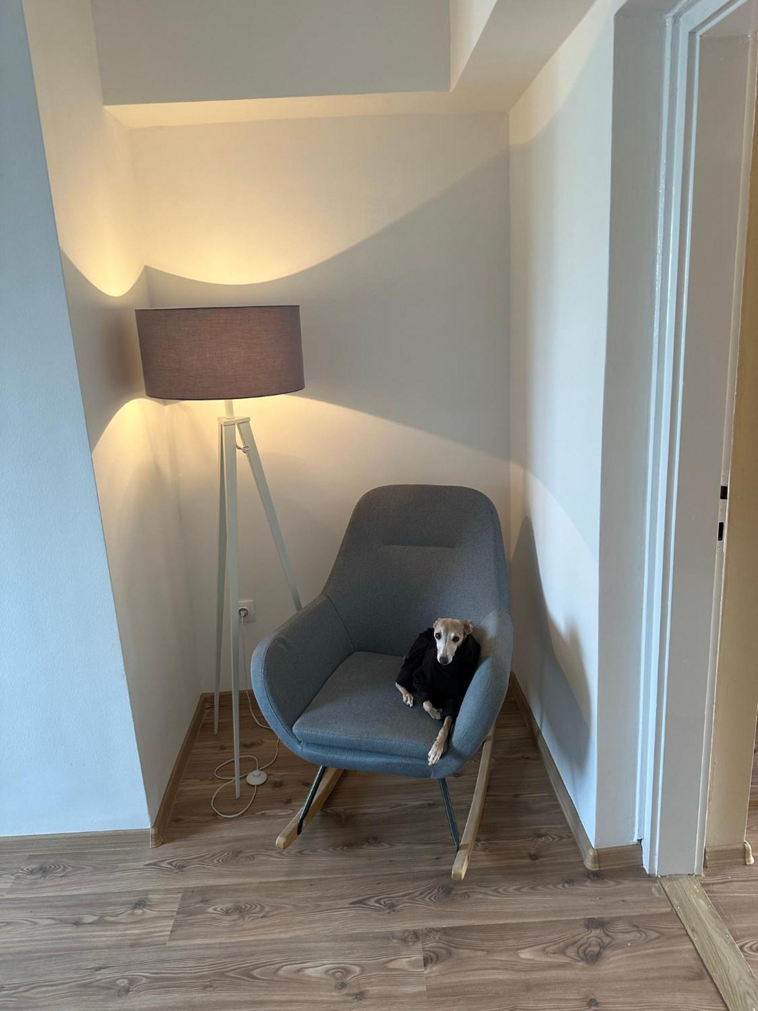 Home Sweet Apartment Xl Bük المظهر الخارجي الصورة